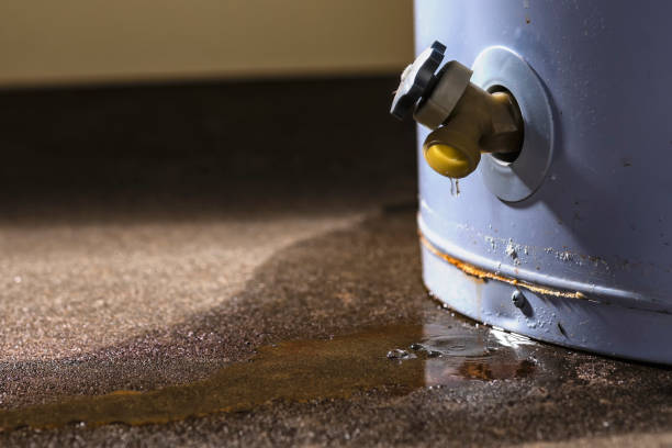 Best Water damage cleanup near me  in Brooklyn, IA