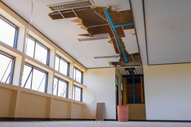 Best Water damage cleanup near me  in Brooklyn, IA