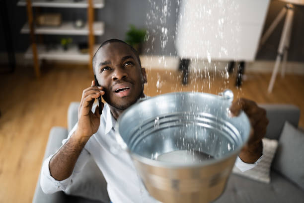Best Carpet water damage restoration  in Brooklyn, IA