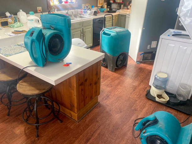 Best Basement water damage restoration  in Brooklyn, IA