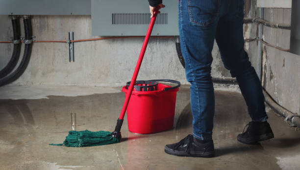 Best Emergency water damage restoration  in Brooklyn, IA