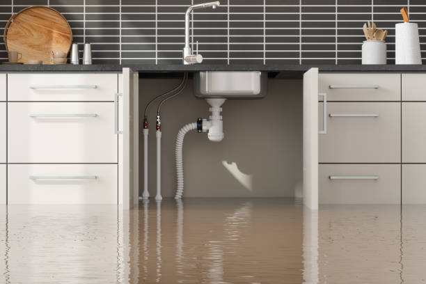 Best Professional water damage repair  in Brooklyn, IA