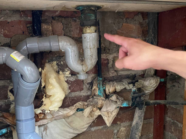 Best Flood damage cleanup  in Brooklyn, IA