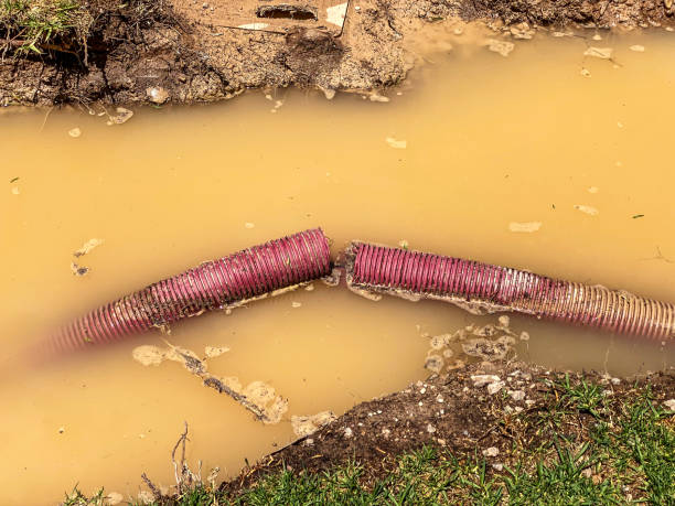 Best 24-hour water damage restoration  in Brooklyn, IA
